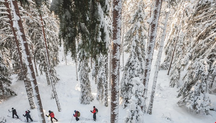 Sross country skiing