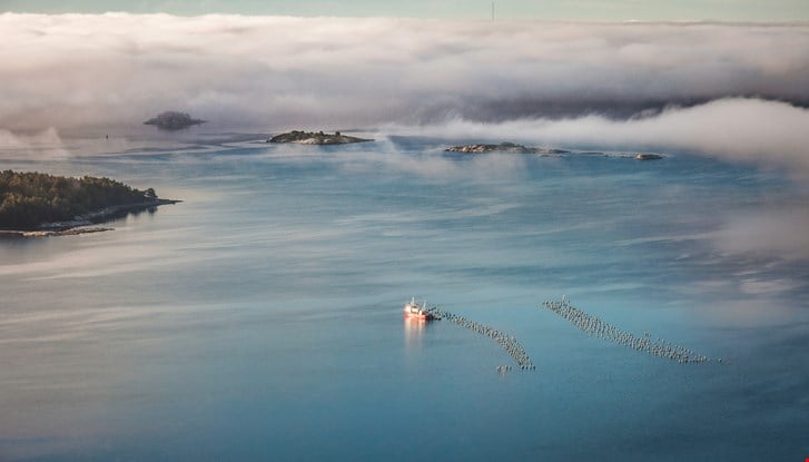 A landscape picture with an ocean