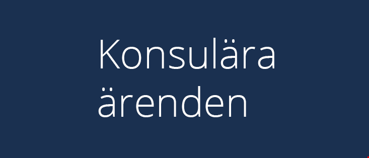 Konsulära ärenden