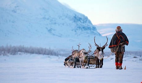 Lapland. Photo: Staffan Widstrand/imagebank.sweden.se