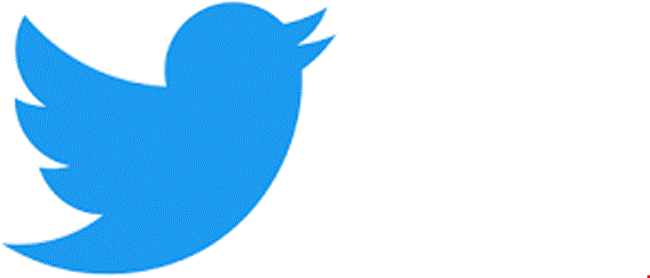 twitter logo